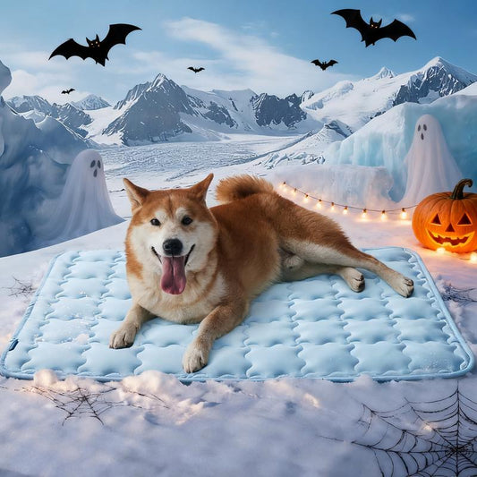 Cooling Mat for Ultimate Pet Comfort