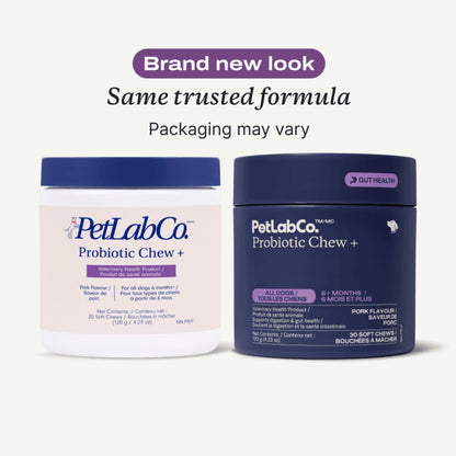 Probiotic Chews for Dogs — Gut, Skin & Immune Support | Halo Labs™