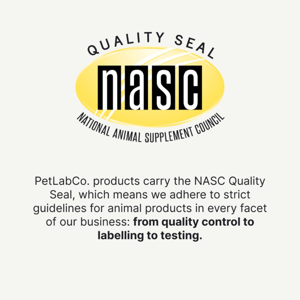 Probiotic Chews for Dogs — Gut, Skin & Immune Support | Halo Labs™