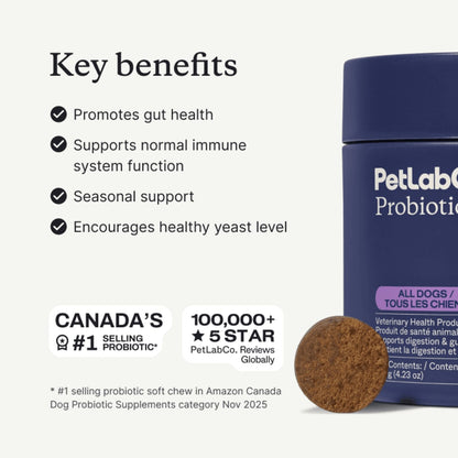 Probiotic Chews for Dogs — Gut, Skin & Immune Support | Halo Labs™