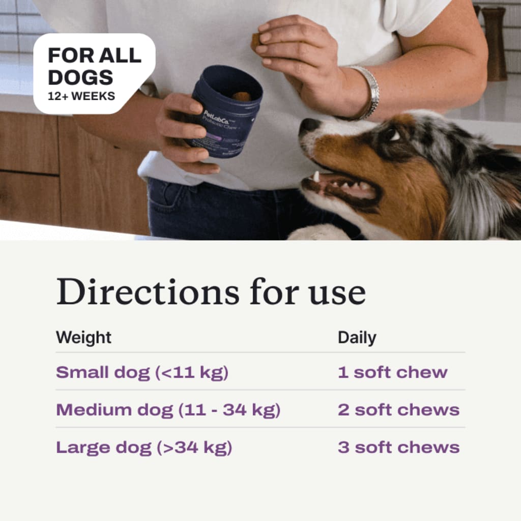 Probiotic Chews for Dogs — Gut, Skin & Immune Support | Halo Labs™