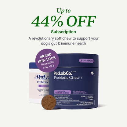 Probiotic Chews for Dogs — Gut, Skin & Immune Support | Halo Labs™