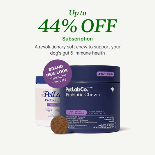 Probiotic Chews for Dogs — Gut, Skin & Immune Support | Halo Labs™